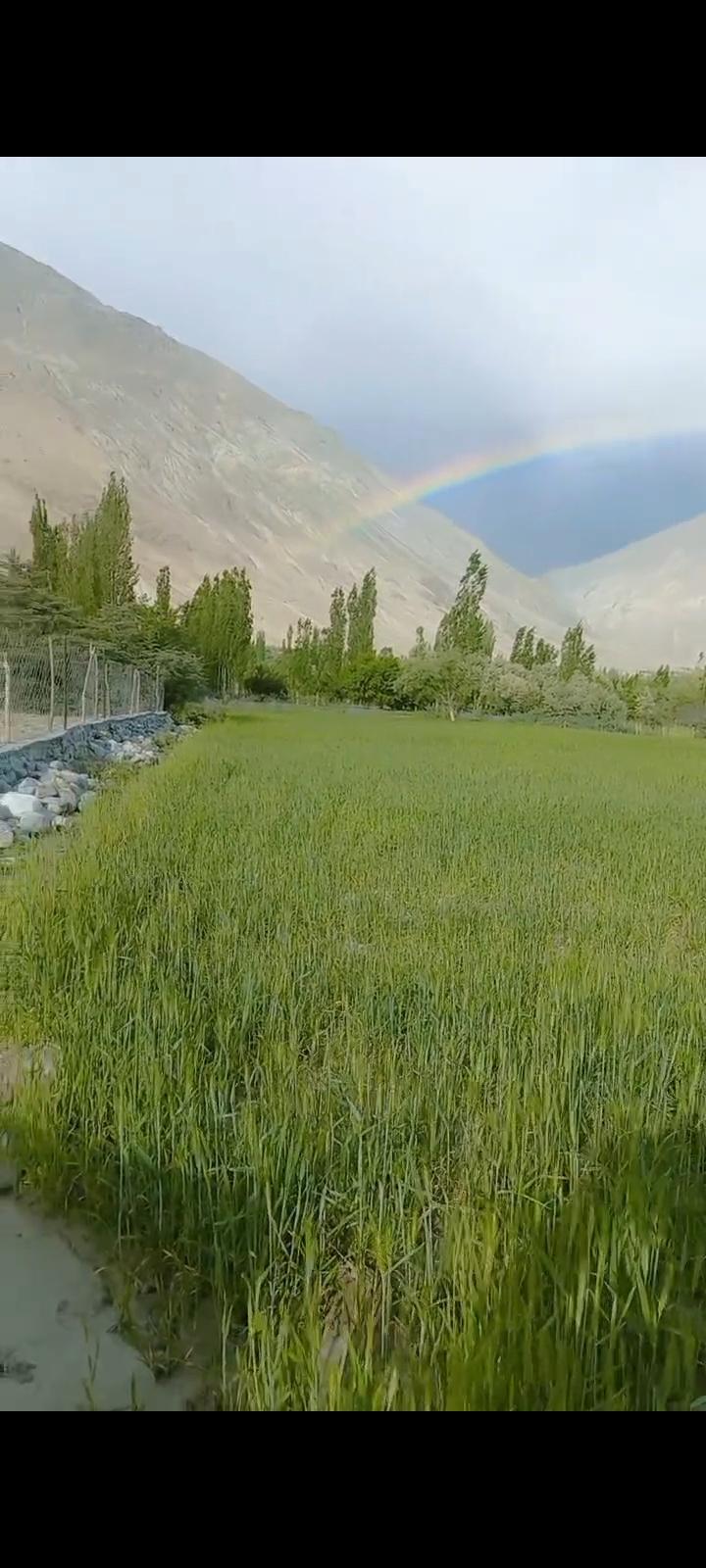Land for sale in skardu Shigar