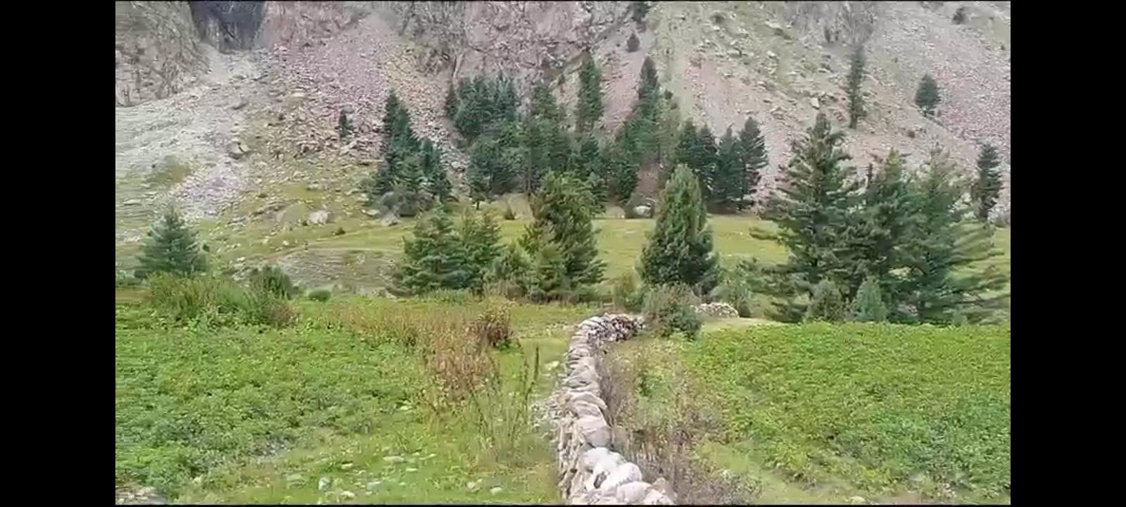 Gilgit Naltar land