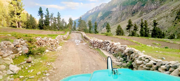 Naltar Valley Panorama